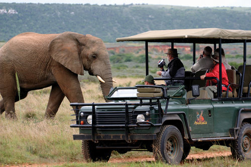 Amakhala Safari Lodge Paterson 외부 사진