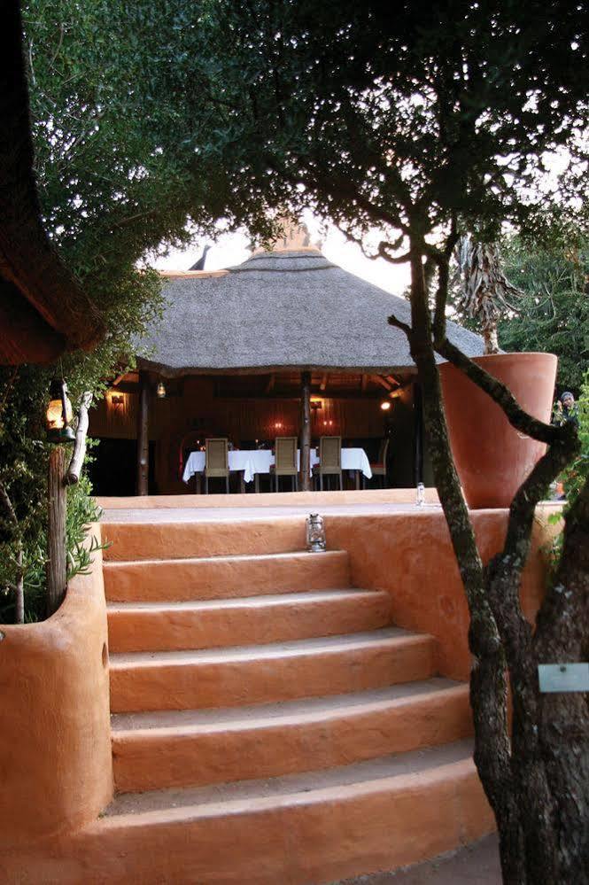 Amakhala Safari Lodge Paterson 외부 사진