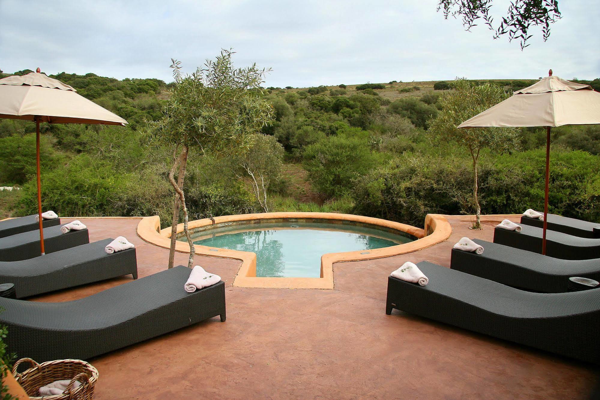 Amakhala Safari Lodge Paterson 외부 사진